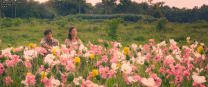 803a8d6f12b7271dec8da006a041a6a4.png