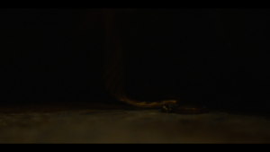 bb0ff6009a56b46e476cd0a449ae94ec.png