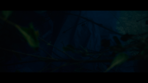 ca08628dab41cdb5dcc9b90d9e3dba19.png