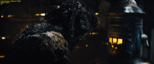 700ff7a753bb87231a305385b478bb84.png