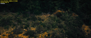 fb13ec290e03d30706a08ee544e2dceb.png