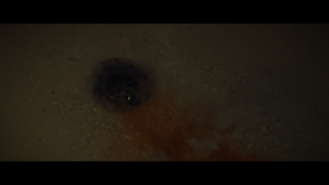 11962f96cf27d1aea266f720eae9b1b5.png