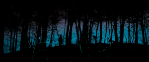 80eb5cae6302c022e49dd27a942fb769.png