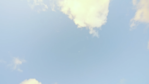 090f8452be4dcb9f4e1353a0dd1d3451.png