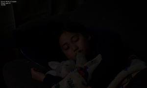 a88fba6243d94bd0e09d1f166c51d13a.png