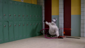 664294e87e7e63fe37c2aca0975b1b5b.png