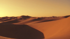 3db18649d5a4be6c9250119f9eeb09c1.png