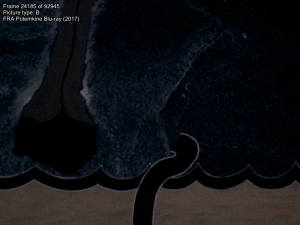 7975e1a5135efc80382fe60f5b325748.png