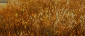 032fc2744aa8d735bc62171ce1c1a698.png