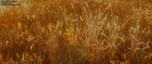 0460660a9767a2814a4e04ba91a3e9b4.png