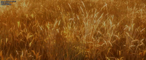 5ef317a67ee02d154f89c3e1a5dbbec9.png