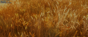 95499fc03d9e2f5b46cab7dd898c5245.png