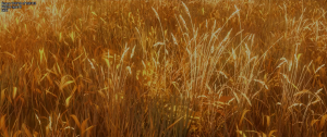 f0734a02657ee6844e5906bb84855cc3.png