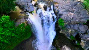 8482d593f5be446c4deb88f29e2a7405.png