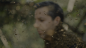 d4baa206d7981c1602a61491cb93a176.png