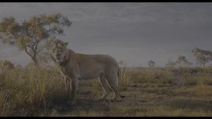 b70fed729f26fa61c0e5e6a724cbb812.png