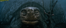 20a52ea8f04764f13.png
