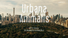 Urbana.Animalis.Paris.2024.2160p.UHDTV.AAC2.0.H.265-playTV.mkv_snapshot_01.00.196.png