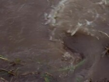 Flipper.S03E02.Disaster.In.The.Everglades.Part.1.WEBRip.h.264-GC-003.jpg