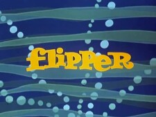 Flipper.S03E02.Disaster.In.The.Everglades.Part.1.WEBRip.h.264-GC-004.jpg