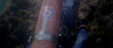 139f30f13417ceaf02.png