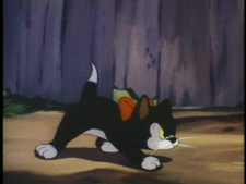 vlcsnap-2025-06-24-12h57m48s396.png