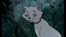 48OQEdye_o.png