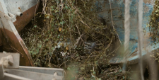 the.walking.dead.daryl.dixon.s03e03.1080p.webrip.x264-skyfire.mkv_20250921_141822.531.png