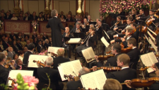 Vienna.Philharmonic.Orchestra-New.Years.Concert.2013.1080i.Remux.AVC.DTS-HD.MA.5.0-playBD.mkv_snapshot_00.05.09.365.png