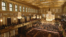 Vienna.Philharmonic.Orchestra-New.Years.Concert.2013.1080i.Remux.AVC.DTS-HD.MA.5.0-playBD.mkv_snapshot_00.19.41.041.png