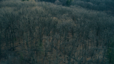 screenshot_3fab97f4e38df76e0.png