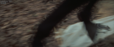 33.png