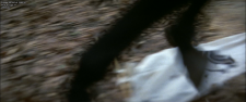 35.png