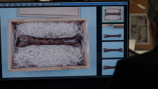 NCIS-3.png