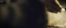 19498ed0f85b100088.png