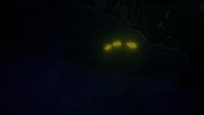 screenshot_1ee2ccfdaa65ac080.png