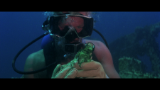 710751571_00011-m2ts-scr1.png