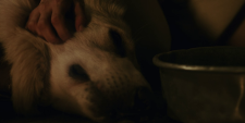 720-19814f6f6580381d4.png