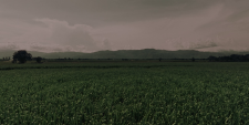 720-20ca6368a9e6d3126.png