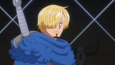 One-Piece-2.png