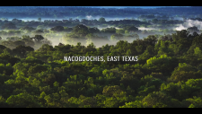 vlcsnap-2026-04-19-15h11m27s014.png
