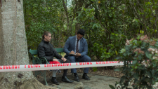 The-Brokenwood-Mysteries-193f9343f5f8bfd9e.png