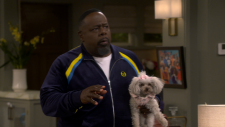 The-Neighborhood-0faec234c657543cd.png