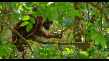screenshot_1769f2c2859c002cd.png
