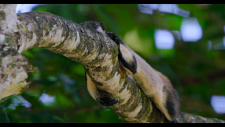 screenshot_282145e2838a776b7.png