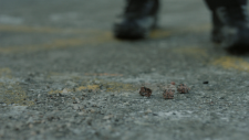 screenshot_167d8e09385157469.png