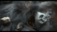 screenshot_261e5820cde382e7b.png