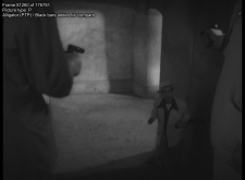 43.png