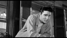 EPiC.Elvis.Presley.in.Concert.2025.2160p.AMZN.WEB-DL.DDP5.1.H.265-SCOPE.mkv-00.04.16.256-1.png