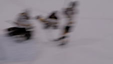 screenshot_3e350c1655b91d80e.png